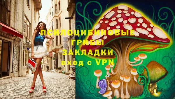 PSILOCYBIN Волосово