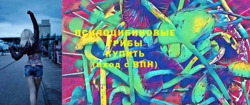 kraken ТОР  Заинск  Псилоцибиновые грибы Magic Shrooms 